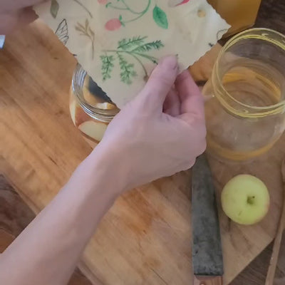 beeswax food wraps